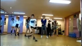 T-Ara - Roly Poly dance practice mirrored