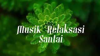 🌿Music to relax, unwind, relieve stress and accompany you before bedtime🌿