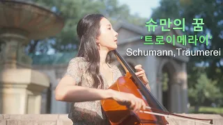 SCHUMANN: Träumerai | 슈만: 트로이메라이 ‘꿈’ 첼로연주  | Classical Music | Hee-Young Lim Cello, Zijian Wei Piano