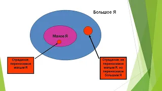 Эвтаназия, трансплантация