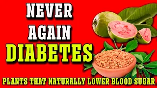 6 Plants for Diabetes: Lower Blood Sugar and Increase Insulin - Plant Them in Your Garden