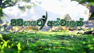 JEEWITHAYATA ATHWALAK (ජීවිතයට අත්වැලක්) EP 006 - 17 05 2024