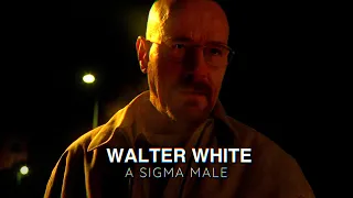 Walter White / Sigma Male Rules