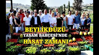 Yaşam Bahçesi’nde Hasat Zamanı