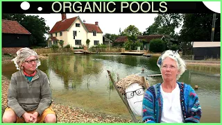 Making an Organic:Natural Pool with no liner