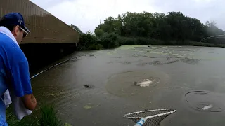 Catching Catfish in a Thunderstorm (Fishing519)