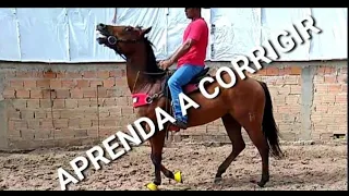 CORRIGINDO ANIMAL MAL DOMADO -Tirando trauma de embocadura