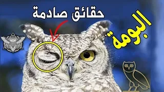 10 حقائق غامضه عن طائر البومة ..أشهر طائر للتشاؤم وماذا قال عنه الرسول ﷺ ؟؟