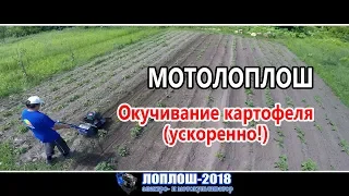 Окучивание картофеля / ЛопЛош / Мотокультиватор