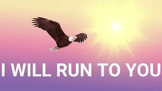 I will run to you - Hillsong Worship (Lyrics) 하늘의 나는 새도(가사) [원곡] 힐송