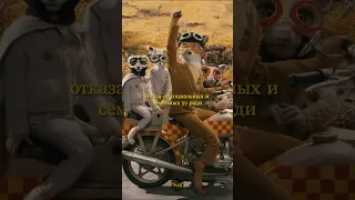 Объяснение сцены с волком в мультфильме «Бесподобный Мистер Фокс». #уэсандерсон