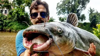 Food Chain Fishing- Tiny Worms to GIANT CATFISH!