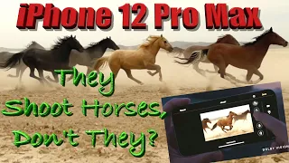 iPhone 12 Pro Max What's New? They Shoot Horses, Don't They?  Impressive HDR 10-Bit 4K Video Capture