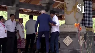 Moment: Jokowi saves tripping Biden on Bali mangrove tour