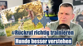 Rückruf trainieren - diese Fehler macht fast jeder!