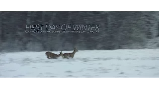 'First Day of Winter' [Panasonic HC-X1 4K 50fps footage]