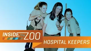 Hospital Keepers | Inside the Zoo: Hospital, Ep. 2