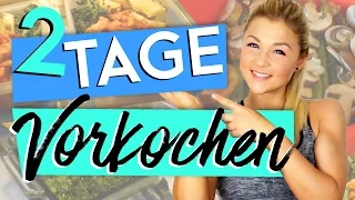 2 TAGE SPEED MEALPREP | FULL DAY OF EATING | VORKOCHEN