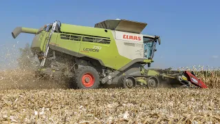 Corn harvest 2018 - Claas Lexion 770 TerraTrac + Gernighoff Horizon Star II 8 rows