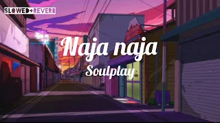 Naja naja song (slowed+reverb)#slowed#reverb