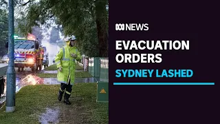 Homes isolated in Sydney as relentless downpour smashes city | ABC News