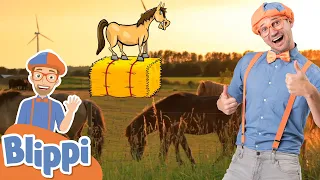 Blippi Learns About Horses! | Animals For Kids | Educational Videos For Toddlers