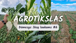 Dėmesys Jūsų laukams #6