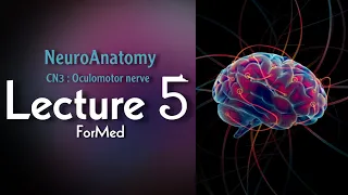 Neuroanatomy. cranial nerves #oculomotor nerve 3
