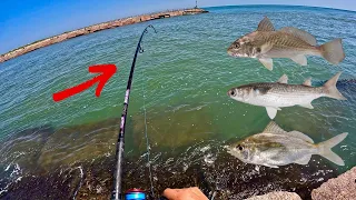 Jetty Fishing with LIVE BAIT! (Corpus Christi, Tx)