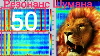 МОЩНЫЙ всплеск в Харькове  Частота Шумана Резонанс ОБЗОР на 22,1,2021  разные обсерватории