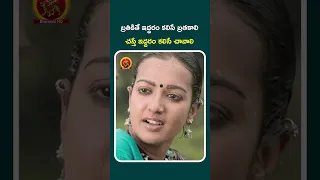 #Gajendrudu Full Movie on Youtube #Arya #catherinetresa #bhavanihdmovies #telugureels