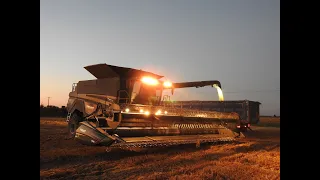 Claas Lexion 770 &  Fendt Ideal 8 w pszenicy-żniwa 2020