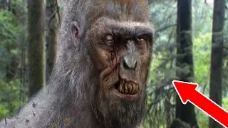 HUNTING BIGFOOT IN THE WOODS - Scariest Game Ever!!! (SCARY)