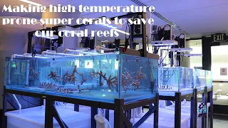 Revolutionary method of saving/restoring corals from rising ocean temperatures.