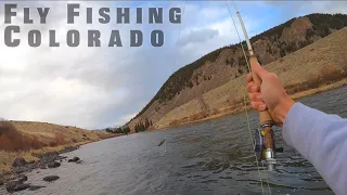 Were these perfect conditions? | No way this happened twice | Fly Fishing Colorado