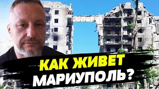 Жовті стрічки — це акція відплати в Маріуполі — Петро Андрющенко