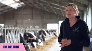 Melkveehouderij - Van eigen bodem | In de mix