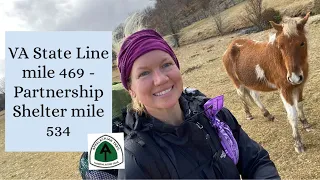 Appalachian Trail 2021: mile 469-534/ Grayson Highlands/ Damascus/ Pizza