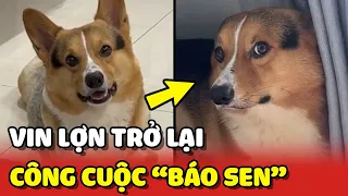 Thanh niên Vin Lợn trở lại cùng công cuộc BÁO SEN của anh ta 😂 | Yêu Lu