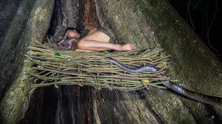 Sleeping Under the Tree of Death - Venomous Snakes Crawling Around at Midnight.../ P.2 - Series III