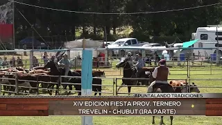 Trevelin  - XIV Fiesta Prov. ternero - Chubut// Fecha Emisión canales 10/2/24