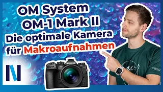 OM System OM-1 Mark II: Mit Focus Stacking und Focus Bracketing gelingen Dir perfekte Makrofotos!