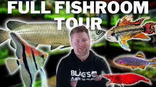 Blake's Aquatics Full Fishroom Tour - 51 Aquariums with Tanganyikans, Shrimp, Nano Fish and More!