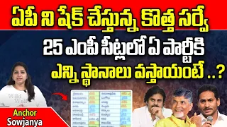 Rise Sensational Survey On AP Elections 2024 | TDP | YSRCP | Janasena | Chandrababu | CM Jagan