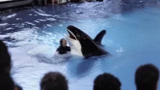 The TERRIFYING Last Minutes of Orca Trainer Britney White