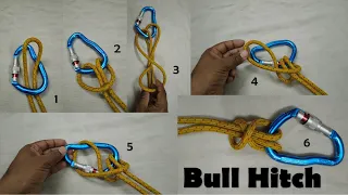 Bull hitch prussik | Clip Into A Prusik Loop Carabiner | Essential Knots | Learn knot in 30 Seconds