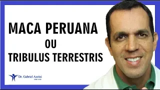 Maca Peruana ou Tribulus – Qual é Melhor? Pode Tomar Junto? Dr. Gabriel Azzini