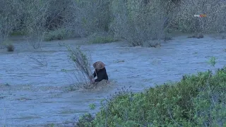 Man rescued from raging river in Ventura County