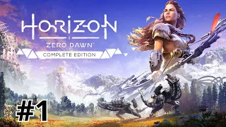 Horizon Zero Dawn #1