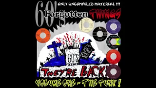 60's Forgotten Things Vol. 1 - The Punk ! (60'S GARAGE COMPILATION)